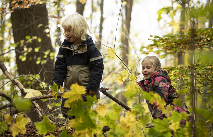 Børn leger i efterårsskov